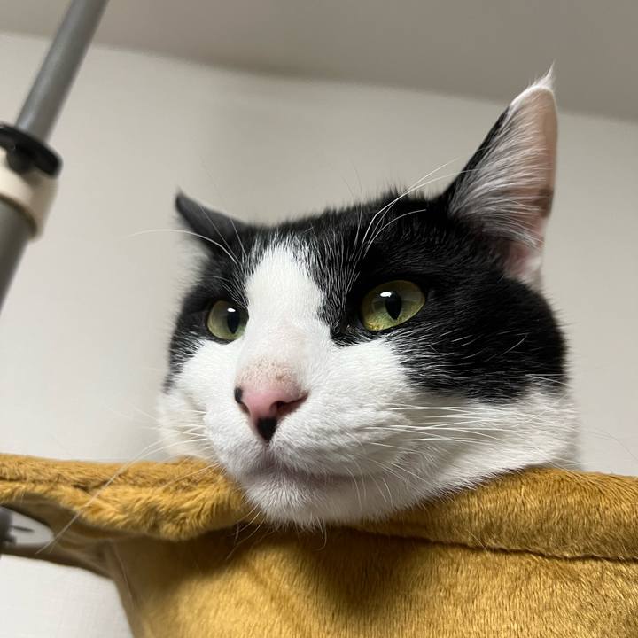 24764c16 6a76 4bb3 b5d1 2df0a064bd6a 1648727910845