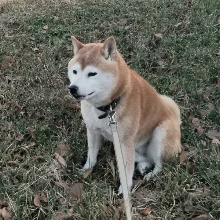 2476656e 776b 4012 8af5 5b15cefcc74d 1669015694913