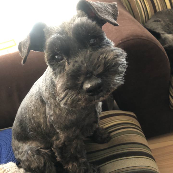 24768cf5 b18b 48c6 b40d 5d1a1786037e 1520051828553