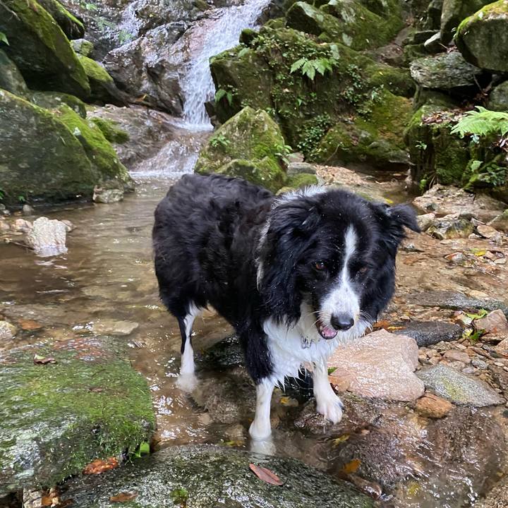 2476e66f d13f 4a77 9373 31c8da3074fb 1660469724016