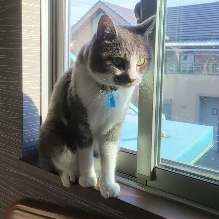 2476f15c 9f66 4aa0 b8b0 7cb7fea08b88 1719006937135