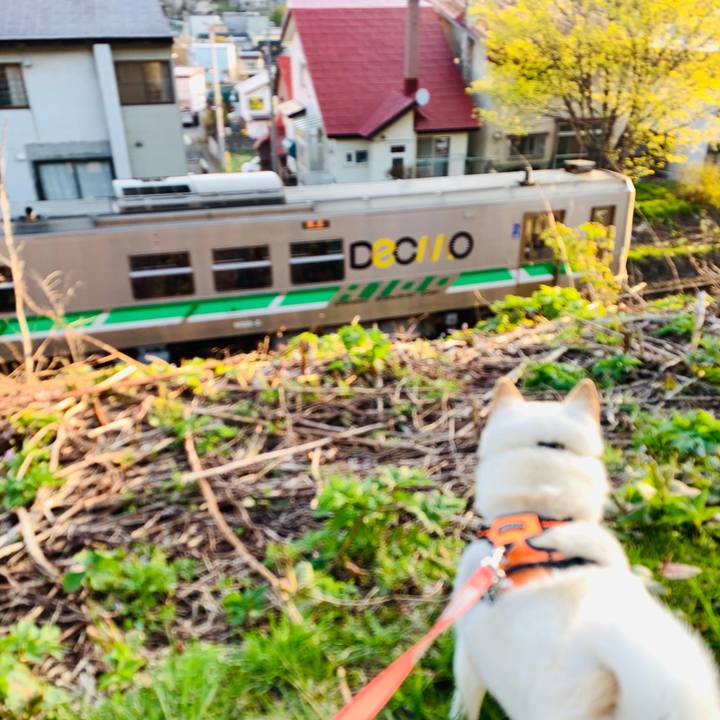 2476fcfe 80f0 4659 a1df cdfdc76fd441 1620592168806