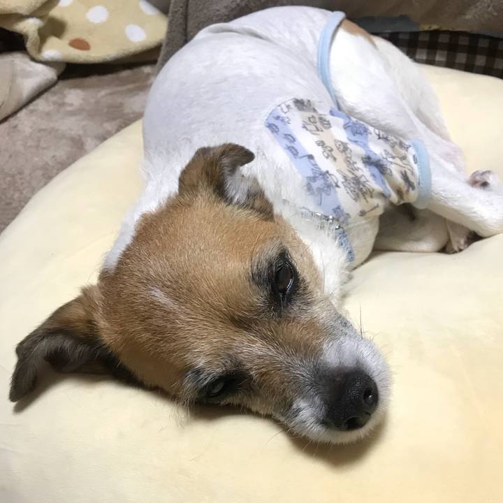 24775380 bcd9 4099 bf4d 1d573b16b643 1524226125940