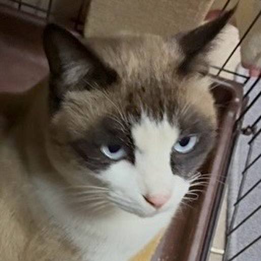 24775509 dfb8 420a 8048 db343355f504 1768138316792