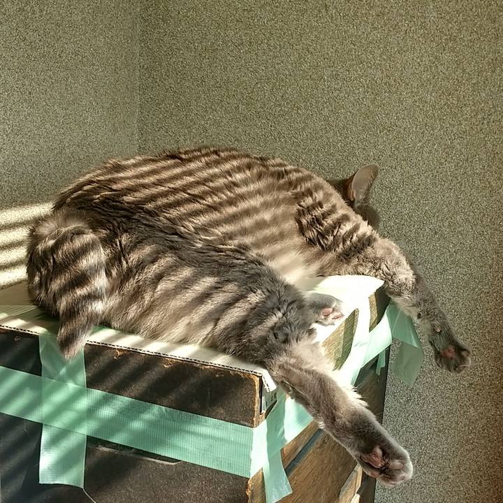 24776727 6b0c 457a 9956 d748846b98e8 1613270613758