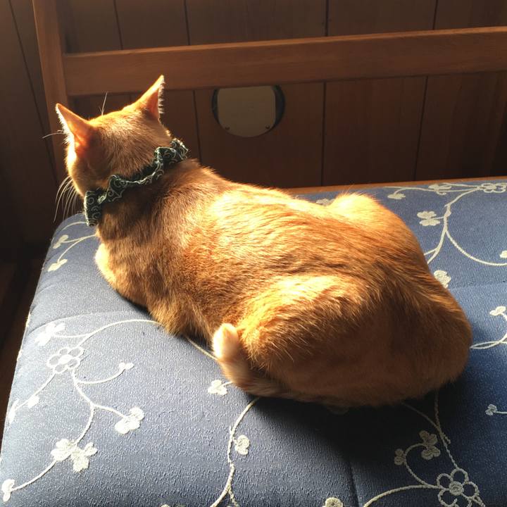 24776bb4 f75c 4d8f 94fe 8cbe0ec3502d 1538200213042