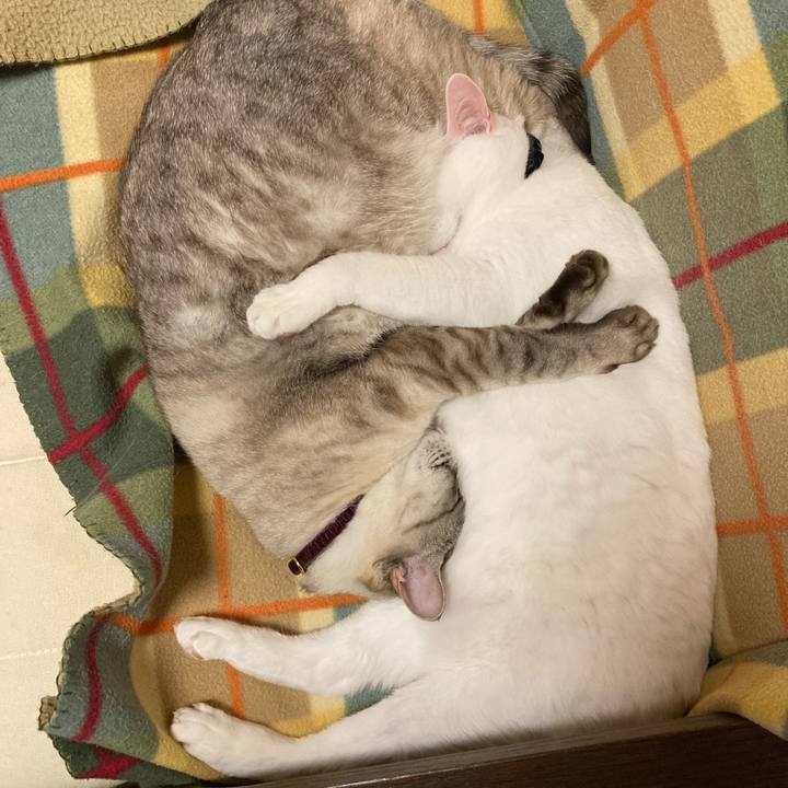 247774b9 69fc 47bf b089 919c10178554 1646369865434