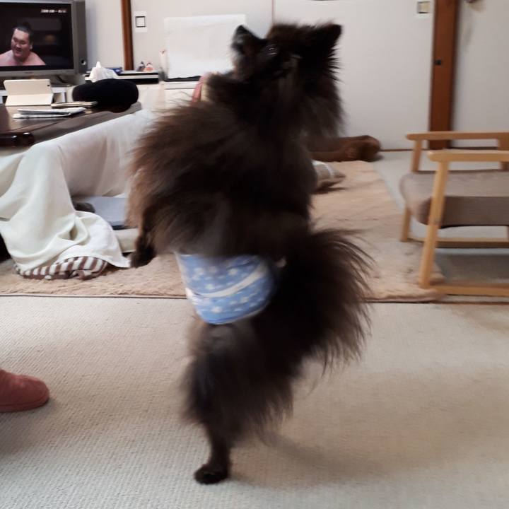 2477a33a 3877 4895 9fdd f57655c1961b 1518333350770