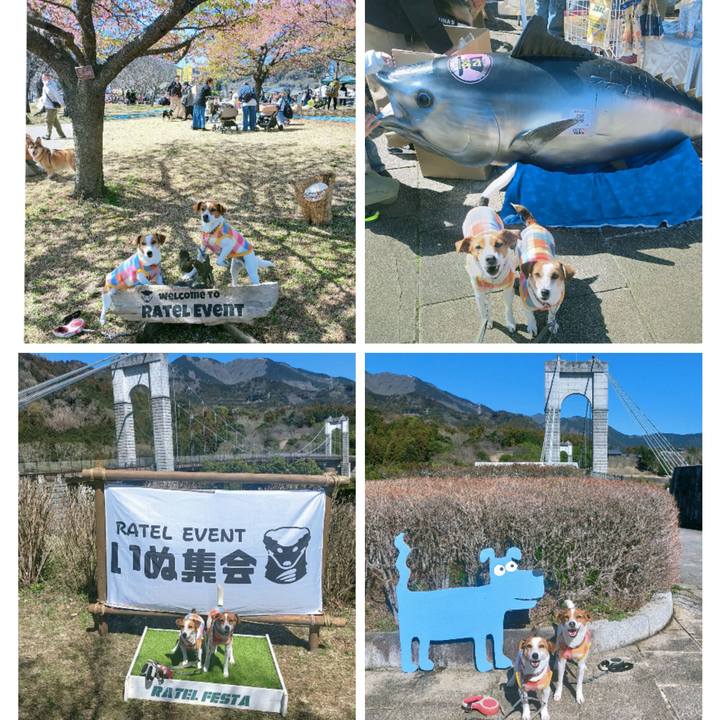 2477d449 d62c 4471 ac30 01f605fb6d3f 1772961875473