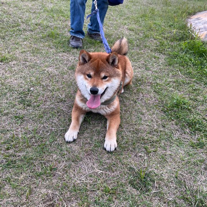 2477d5cb d3ec 4164 a17d c070c0bc5d70 1680434473951