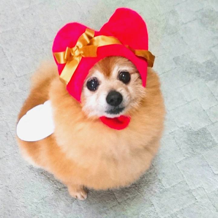 2477dd34 f163 447b 8638 5e25564d517a 1528064165314