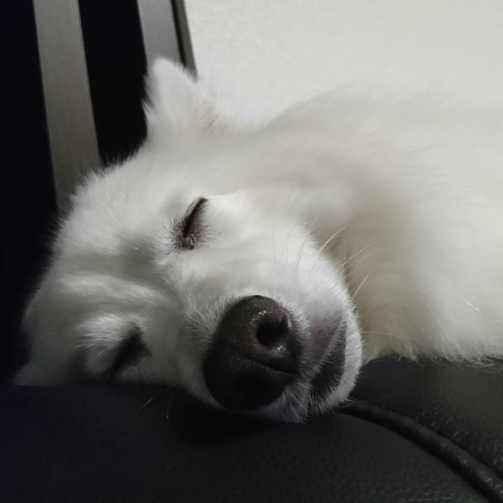 24780956 46c3 4601 8ee2 08b0d0d26852 1593270127527