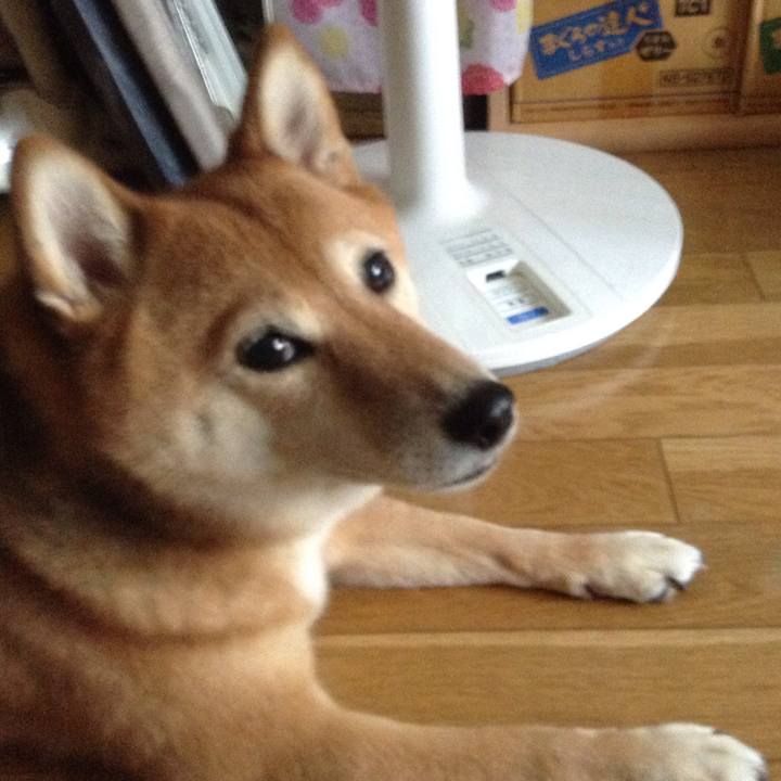 247835d3 f74a 497c 8fc8 3c021f9bd5e5 1533259033349