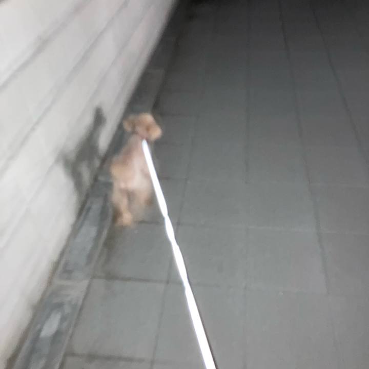 24788342 deef 430f b4b7 b4cc71919d27 1664191393262