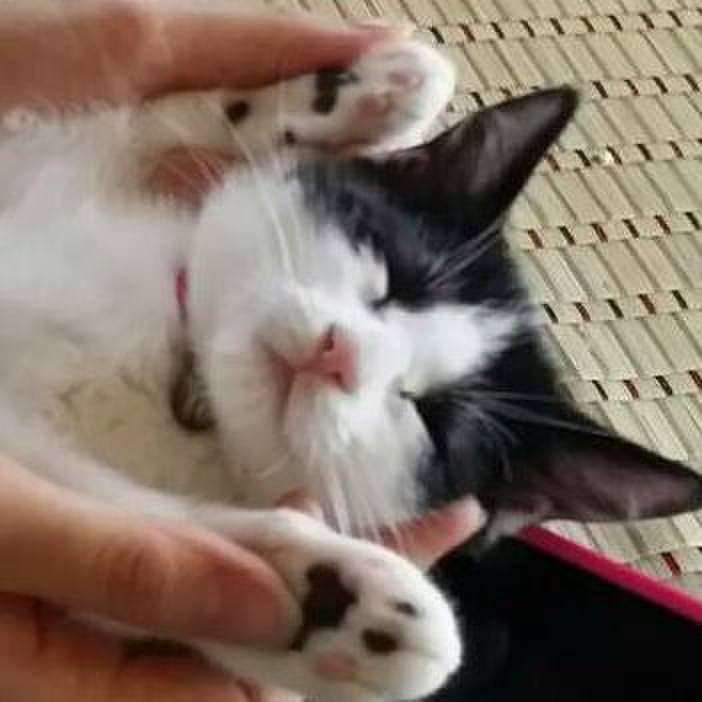 247883fe d811 42d3 911f 1332617def1b 1535935984238