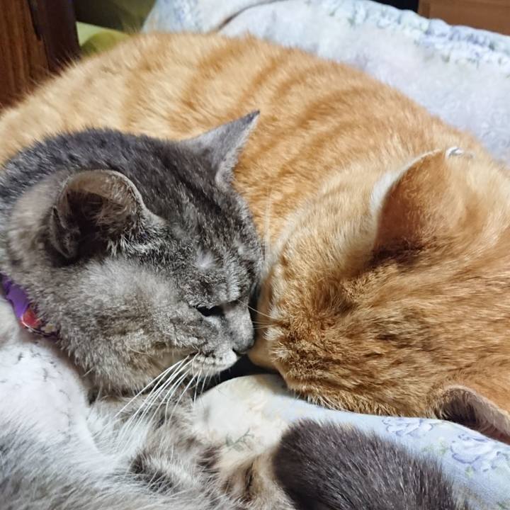 247891cb 98a9 4e8b 8b28 ed14c2c74c69 1587815403171