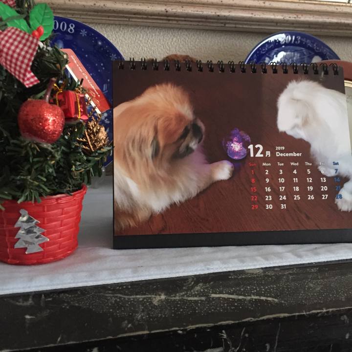 2478b590 4467 4ad8 a482 00f303e80825 1575379715753