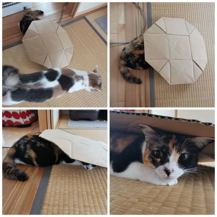 2478bc70 516a 40ef 8a70 ecba235b3cb2 1625472409145