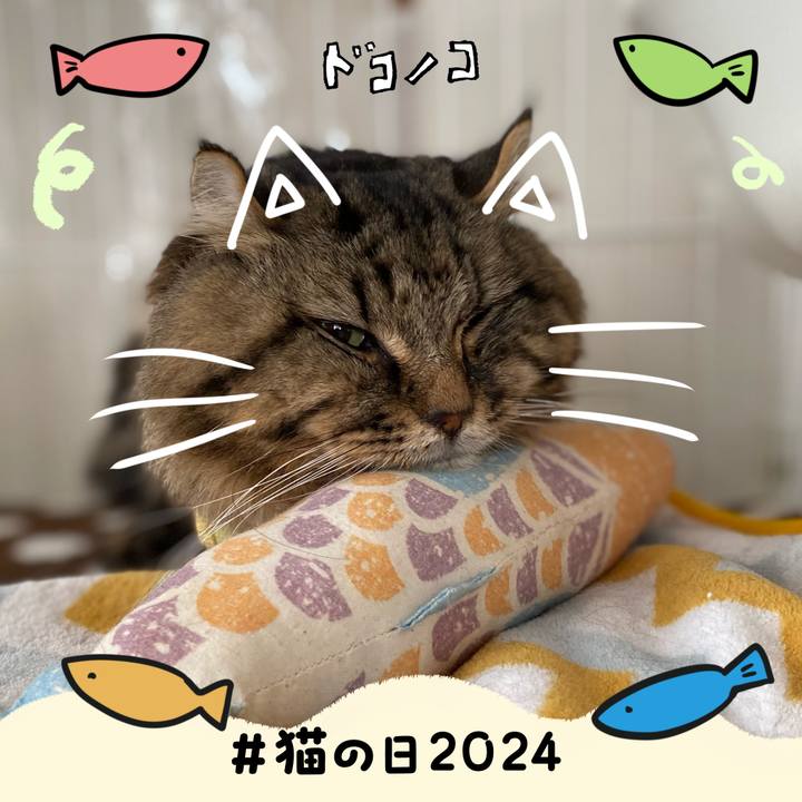 2478ea80 2db2 4603 bace 39dfcfd89bd7 1708592891864