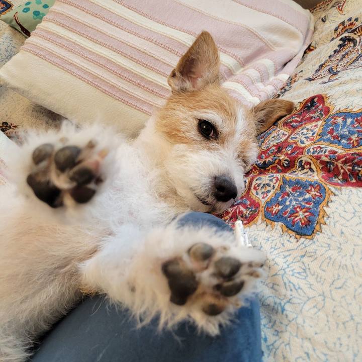 2478eb9c 7ac6 4380 8df0 0fd7a6c6d255 1750642281601