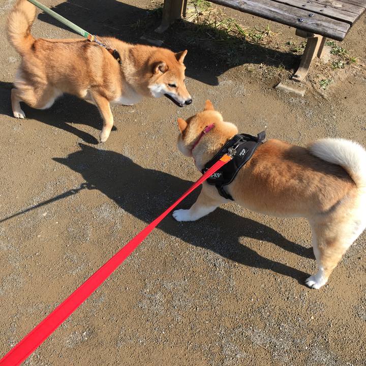 24793961 efbc 4e89 a152 81e8503a01bb 1583025212054