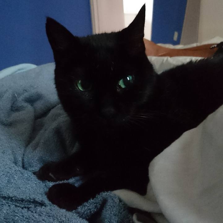 24794bab 8678 4f68 9c25 201abf0f8e8e 1533941514334