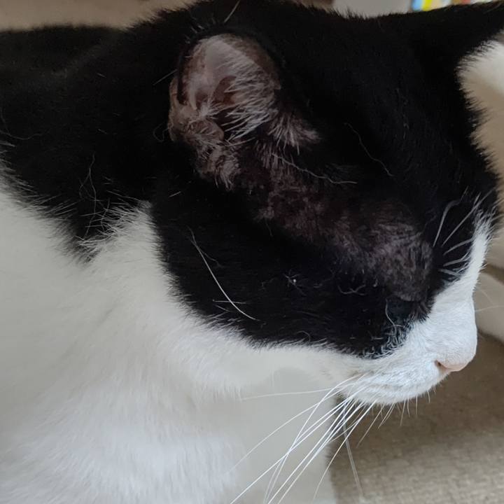 247953ad fc1a 4ffe 9a74 4ab0103d0a6f 1600424303546