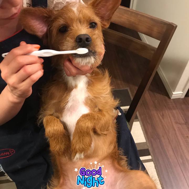 247974e2 ff76 4583 b7a6 21239f780378 1563536712143