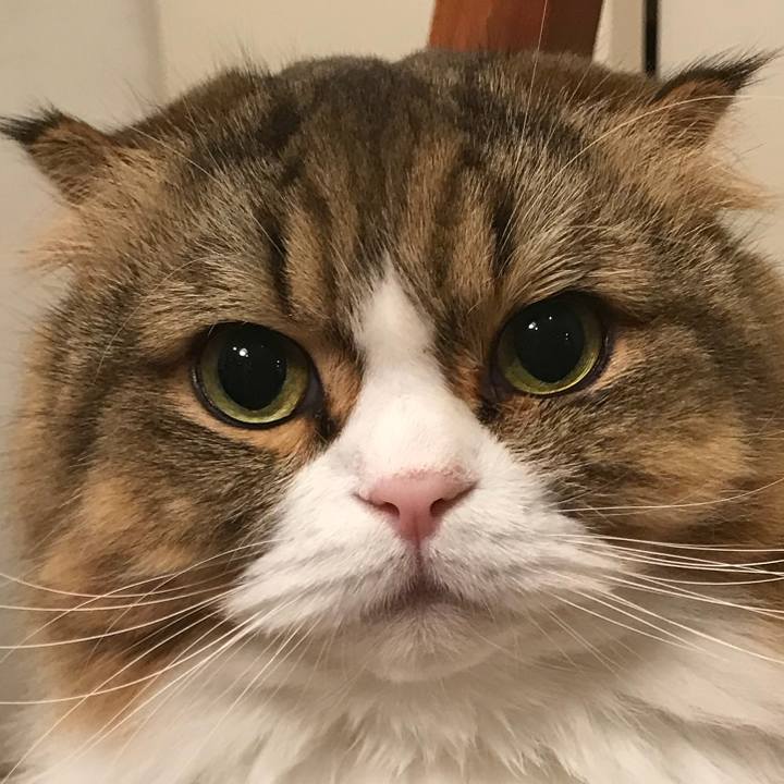 2479765f 72cc 43fb 9505 6407da0f7244 1511349564095