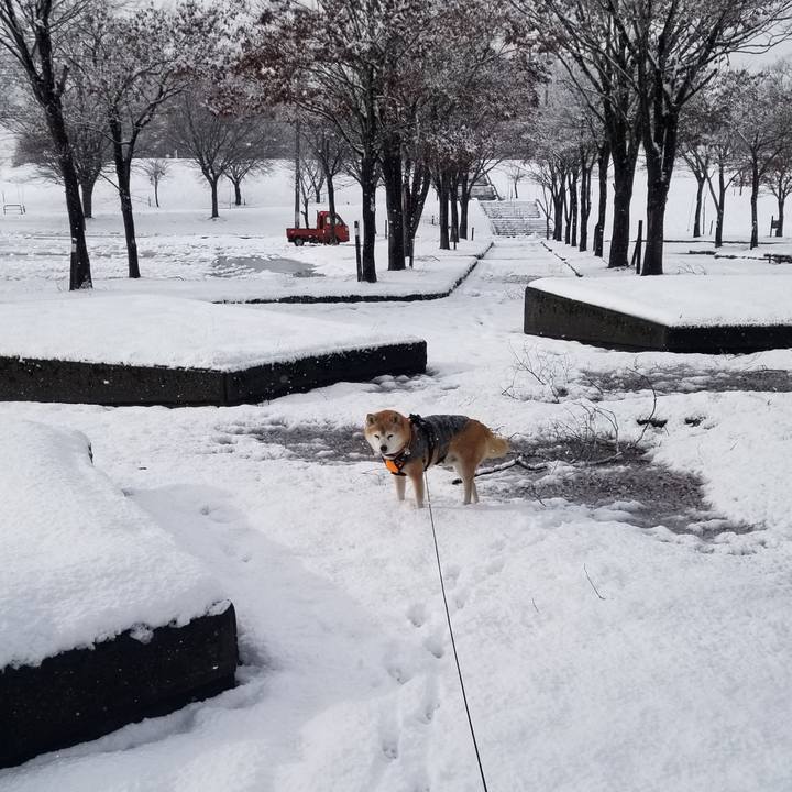 24798f55 62b0 4d23 a47c 21e4617d9a81 1733633329610