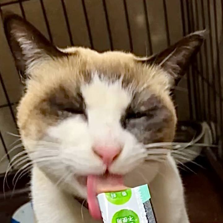 247992a1 ff5d 425c 87b1 e558704ae6ba 1736933437740