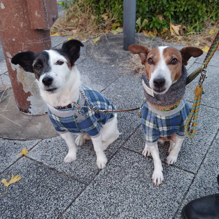 2479ecec a157 40c9 acc1 e7a812bc8f25 1734818337967