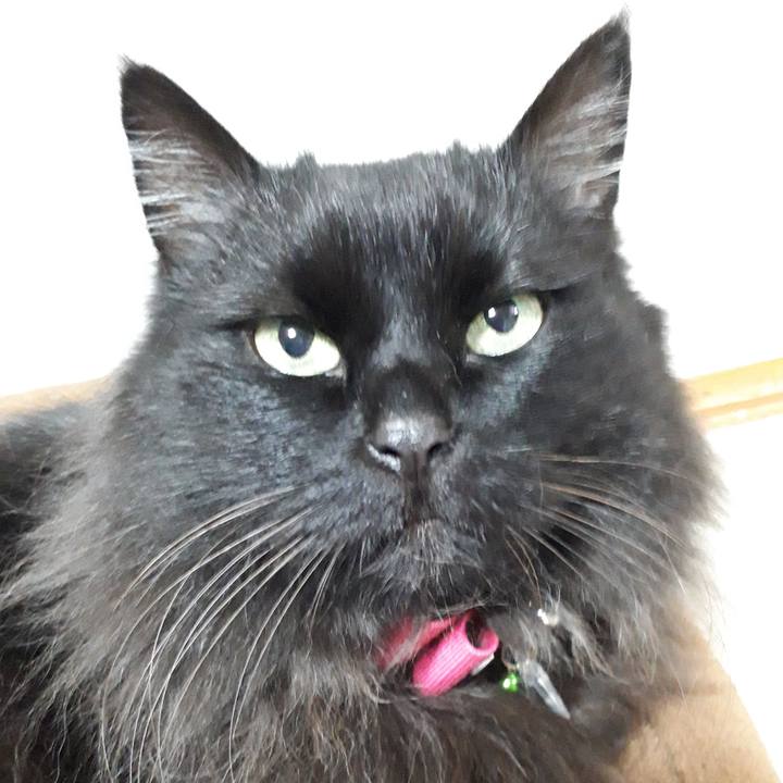 2479f1bc 31bb 4ed9 adb1 20f65032a9f8 1523957333639