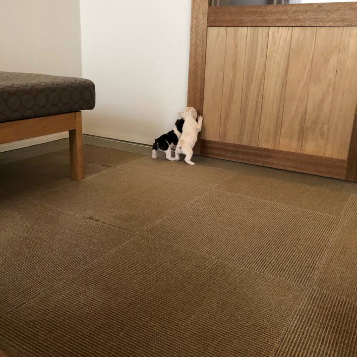 2479f467 41da 408a b2ed 3b774555a791 1592444572875