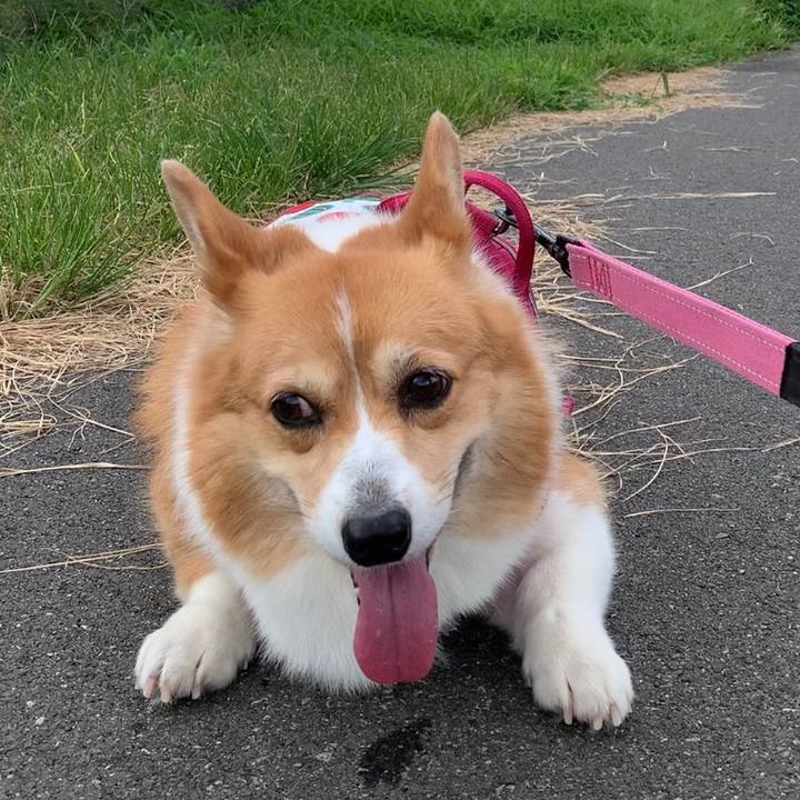 247a0108 2317 422d 86b9 9969622e208c 1661302184782