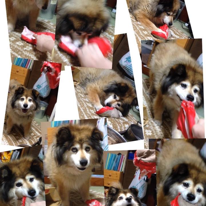 247a4371 b5fb 4df0 bf0a cc2304369f06 1588984827309