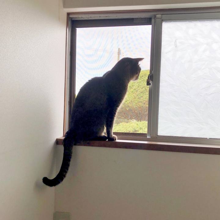 247a4ed3 5cbb 40dd 924b a99dd1976405 1712277328791