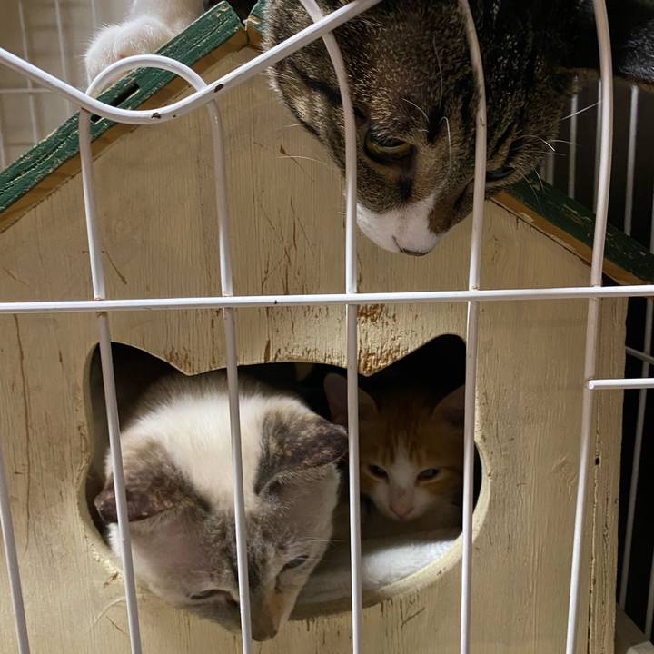 247a61bb d2d9 4502 9f00 9c6b0365bd08 1666690726748