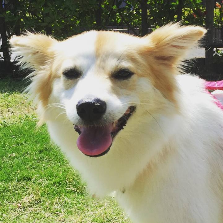 247ae09a 1f65 4506 94c5 672046da8611 1511874250892