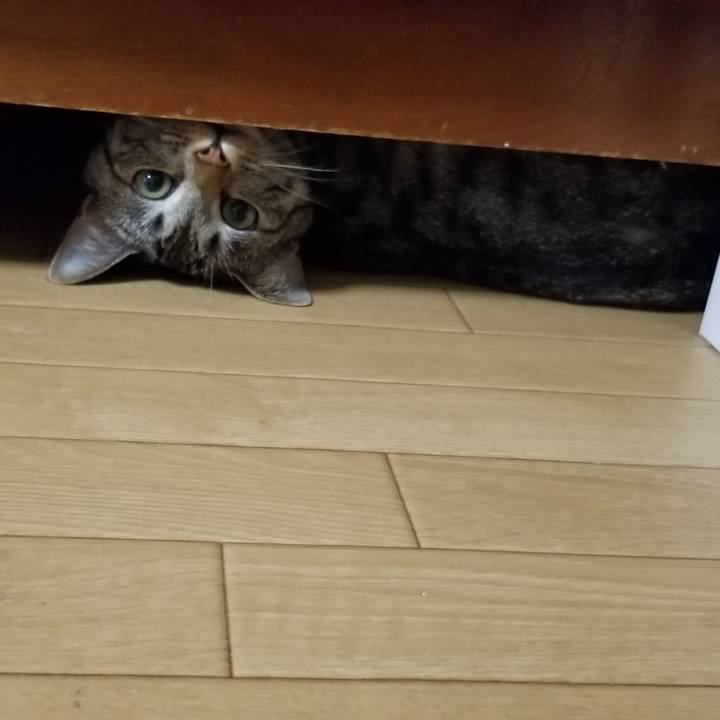 247b1964 04bb 4de8 bddf c0377111cf20 1689512243808