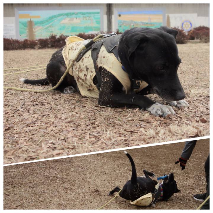 247b4d35 3227 4d18 aa65 3aa0c4dafe29 1644282667578