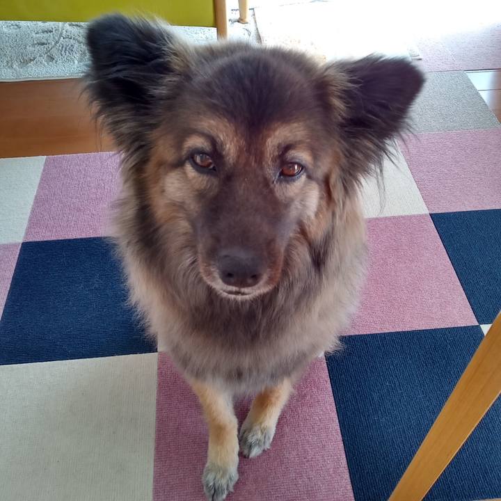 247b670c 5b61 4870 b9b8 b0abc543b5b7 1774142148373