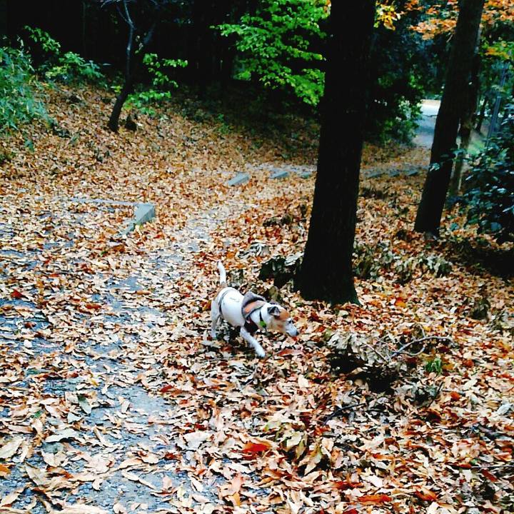 247b97ef a45b 4cd7 939c 41d94d61a4df 1512206604020