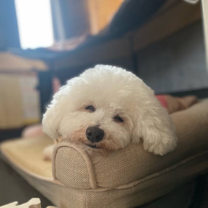 247b9c38 8680 418a 94a3 400da3b02402 1740916751073