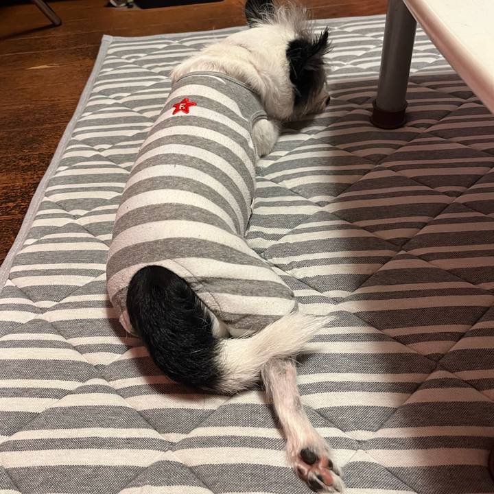 247bb041 5fab 4c13 b51c 12870a65549a 1754998353477