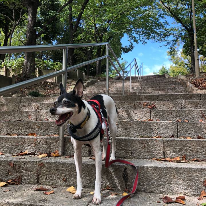 247be99f f4a1 4951 84a0 2d7da1bf84de 1570361723713