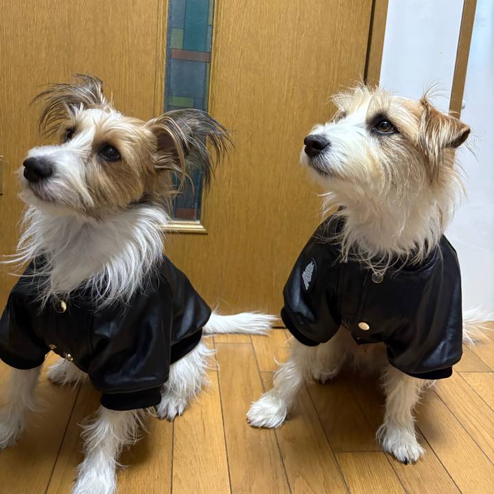 247bf042 2177 476e be2d d9e2aa47dc95 1768124264173