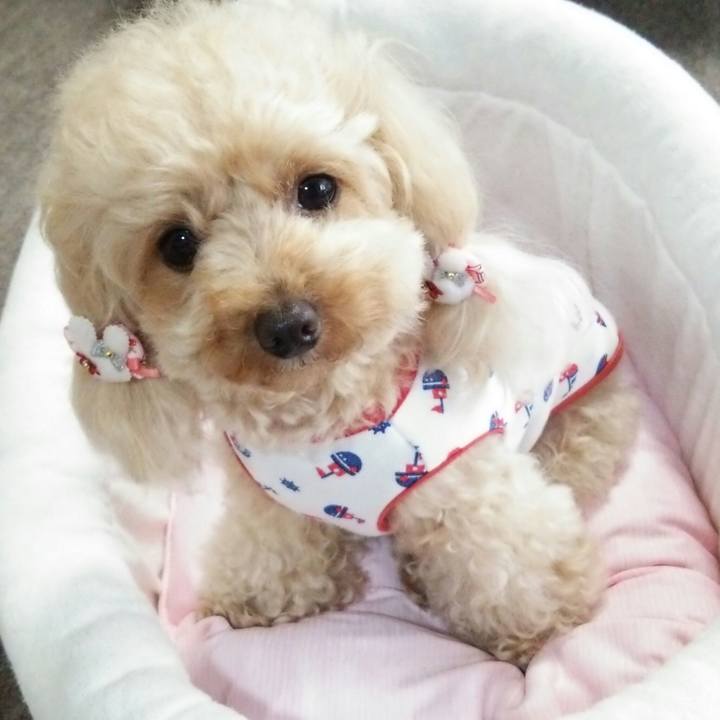 247c0e1e 0289 459e af18 cbf641ed9299 1528894682439