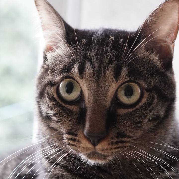 247c192a 664b 4995 89f2 c18940f0c8a3 1665056508444