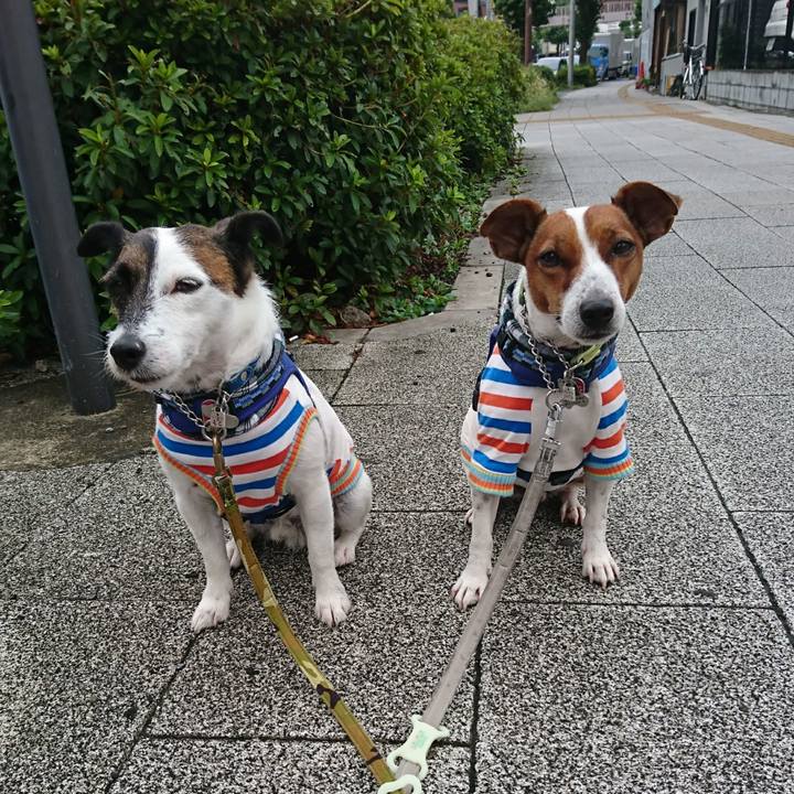 247c201e b69d 4599 8092 fdf84cd4c3d3 1600036380329